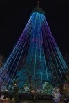 IMG_5919.JPG