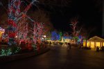 IMG_5925.JPG
