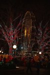 IMG_5926.JPG