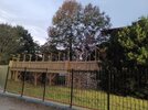20221022_183811.jpg