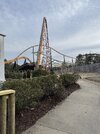 IMG_8790.jpeg