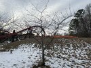 IMG_1706.jpeg