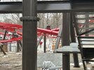 IMG_1715.jpeg