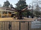 IMG_1598.jpeg