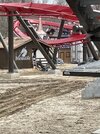 IMG_8679.jpeg