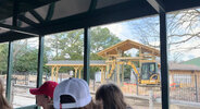 IMG_3378.jpeg