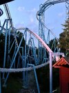 IMG_2217.jpeg