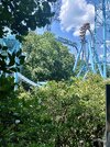 IMG_1898.jpeg