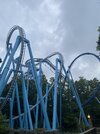IMG_6033.jpeg
