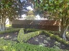 IMG_9548.jpeg