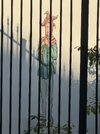 IMG_3651.jpeg