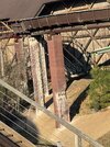 IMG_3643.jpeg