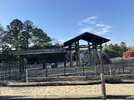 IMG_3638.jpeg