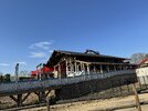 IMG_3630.jpeg