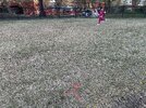 IMG_3913.jpeg