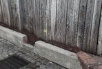 IMG_3916.jpeg