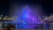 IMG_7213.jpeg