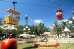 IMG_8533.jpeg
