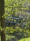 IMG_1303.jpeg