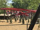 IMG_4722.jpeg