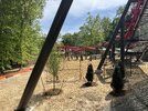 IMG_4720.jpeg