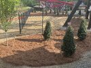 IMG_4822.jpeg
