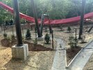 IMG_4819.jpeg