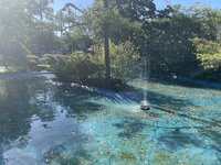 IMG_2037.jpeg