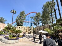 IMG_7393.jpeg