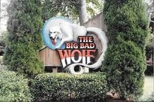 wolf.jpg