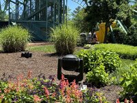 IMG_0599.jpg