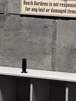 IMG_20250518_185345789.jpg