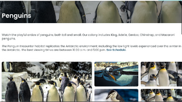 Screenshot 2025-05-20 12.18.05 PM.png