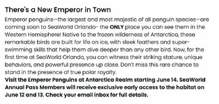 EmperorPenguinsSWO.jpg