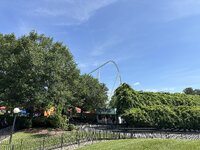 IMG_4304.jpeg