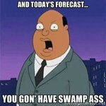 swampass.jpeg