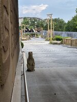 IMG_3121.jpeg