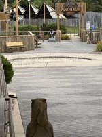 IMG_3123.jpeg