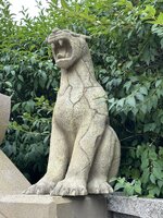 IMG_5556.jpeg