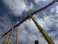 IMG_6081.jpeg