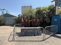 IMG_8745.jpeg