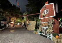 IMG_2561.jpg