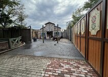 IMG_5838.jpg