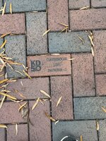 IMG_3611.jpeg