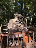IMG_1630.jpeg