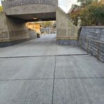 20251024_180224.jpg