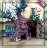 Ireland Wise Old Tree.jpg