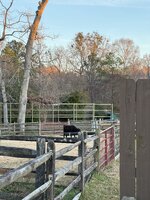 IMG_2607.jpeg