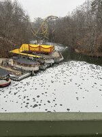 IMG_0995.jpeg