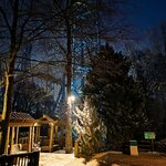 img_1770434060806.jpg